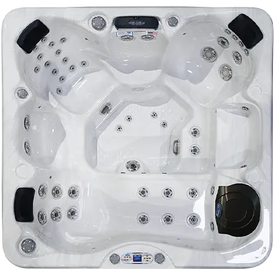 Avalon EC-849L hot tubs for sale in Poughkeepsie